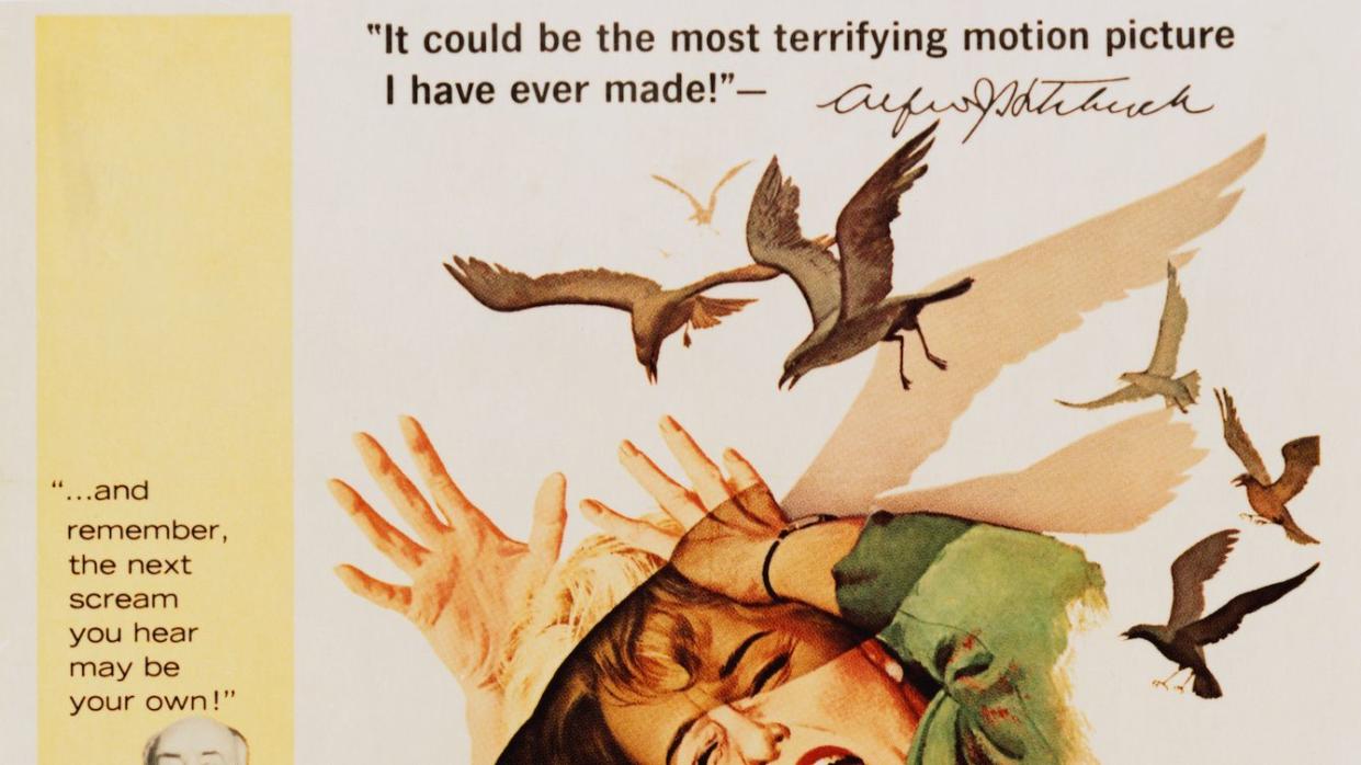 classic horror movies, the birds