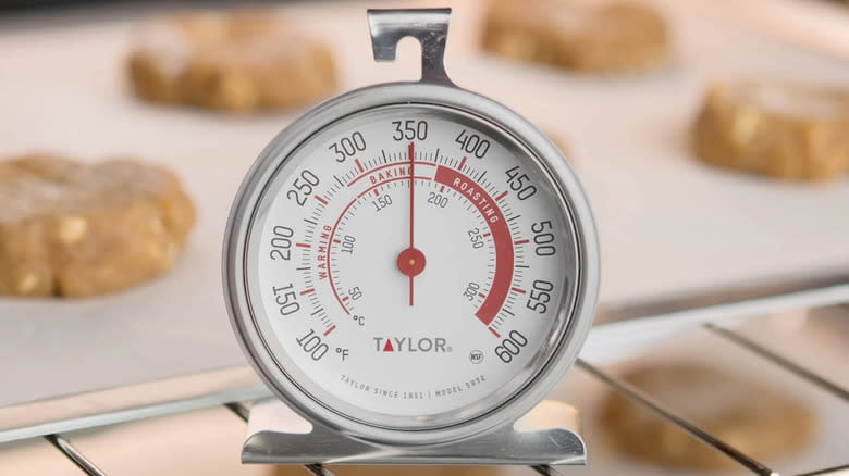 Taylor oven thermometer