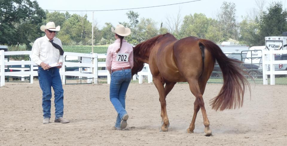 Under the careful eye of judge Chuck Schroeder, a girl and her horse compete in the versatility class competition on Wednesday afternoon in the horse arena at the Crawford County Fair.