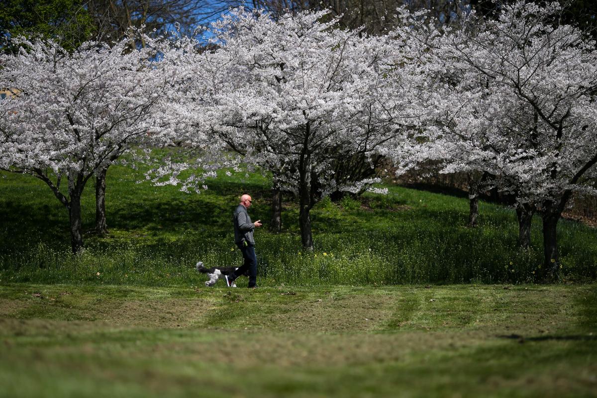 When is meteorological spring? What to know about the start of spring