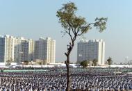 <p>An Indian right wing Rashtriya Swayamsevak Sangh volunteer climbs atop a tree as he listens to RSS chief Mohan Bhagwat speak at a rally in Pune some 135 kms from Mumbai on January 3, 2016. </p>