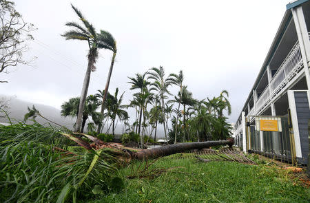 A tree lies on the ground near a motel after falling during strong winds from Cyclone Debbie at Airlie Beach, located south of the northern Australian city of Townsville, March 28, 2017. AAP/Dan Peled/via REUTERS