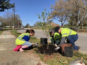 Meritage volunteers plant new trees in the greater Raleigh community