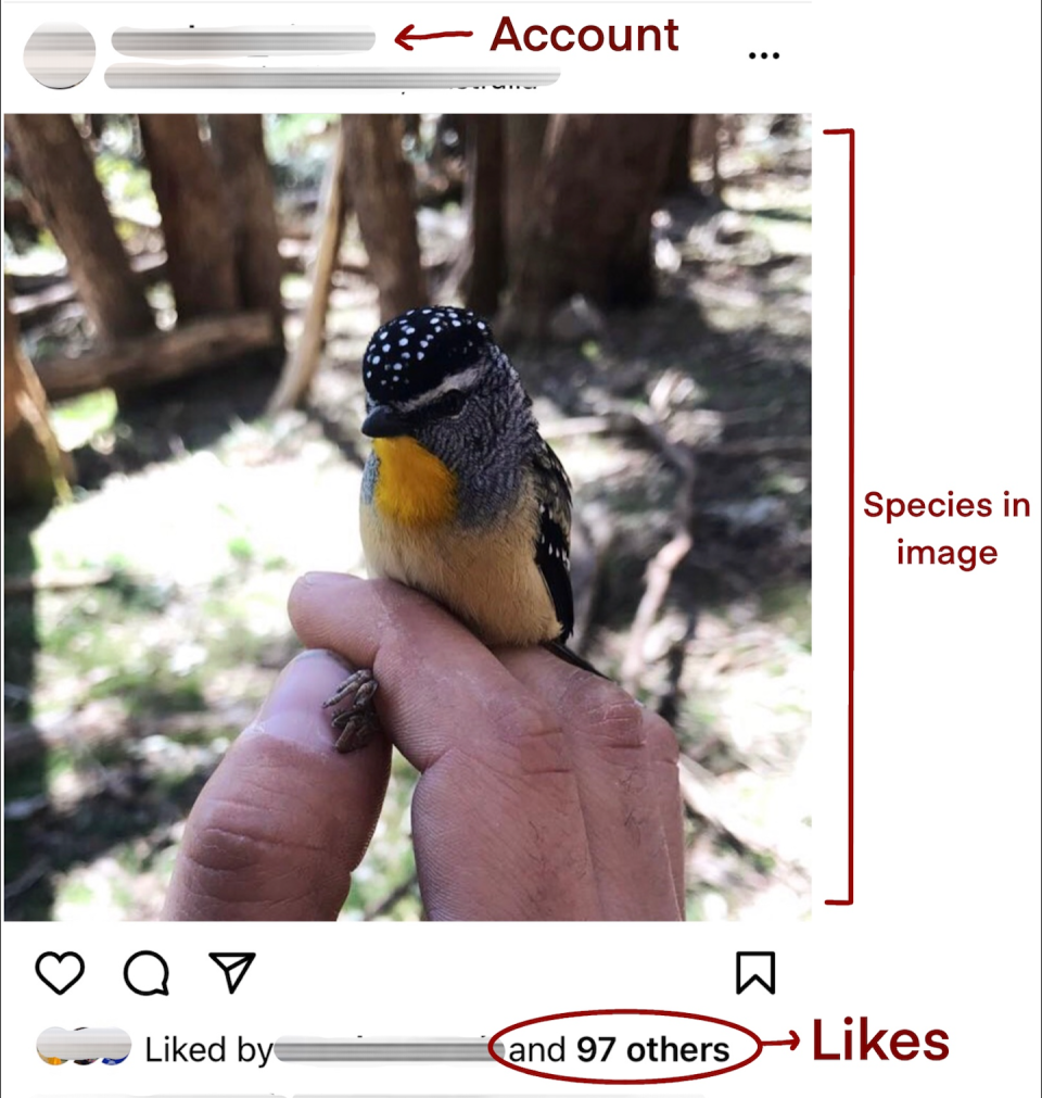 An example of the Instagram posts that were analysed, and the information collected. <a href="https://www.mdpi.com/2076-2615/12/14/1787/htm" rel="nofollow noopener" target="_blank" data-ylk="slk:Meghan Shaw;elm:context_link;itc:0;sec:content-canvas" class="link ">Meghan Shaw</a>, <a href="http://creativecommons.org/licenses/by/4.0/" rel="nofollow noopener" target="_blank" data-ylk="slk:CC BY;elm:context_link;itc:0;sec:content-canvas" class="link ">CC BY</a>