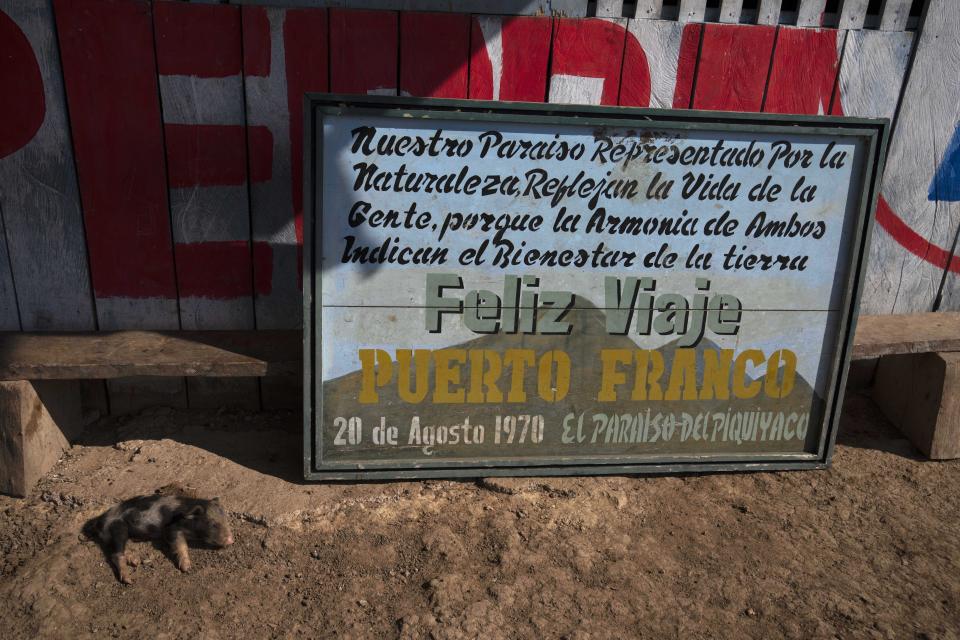 A little pig sleeps next to a painting that reads in Spanish: "Happy Journey" in the Puerto Franco community, in Peru's Amazon, Tuesday, Oct. 4, 2022. Residents in Kichwa Indigenous villages in Peru say they fell into poverty after the government turned their ancestral forest into a national park, restricted hunting and sold forest carbon credits to oil companies. (AP Photo/Martin Mejia)