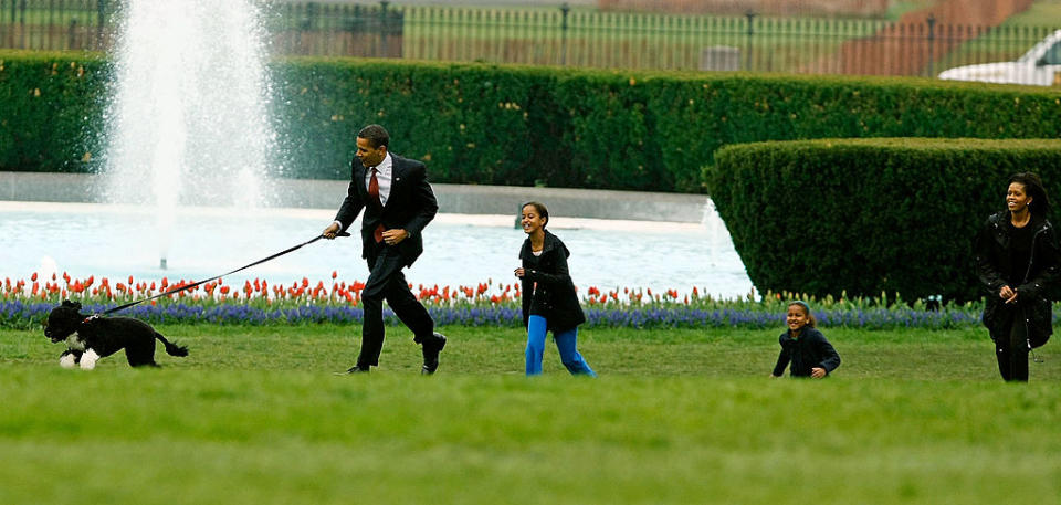 The White House Debuts The Obamas' New Dog Bo, A Portuguese Water Dog