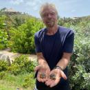 <p>Quand il n’est pas occupé à se prendre pour un touriste spatial, Richard Branson joue fièrement à l’ambassadeur de la protection de la faune et de la flore. Notamment sur Necker Island, l’île qu’il possède dans les îles Vierges britanniques, où sont nées deux tortues de Birmanie, une espèce classée "en danger critique". © instagram@richardbranson</p> 