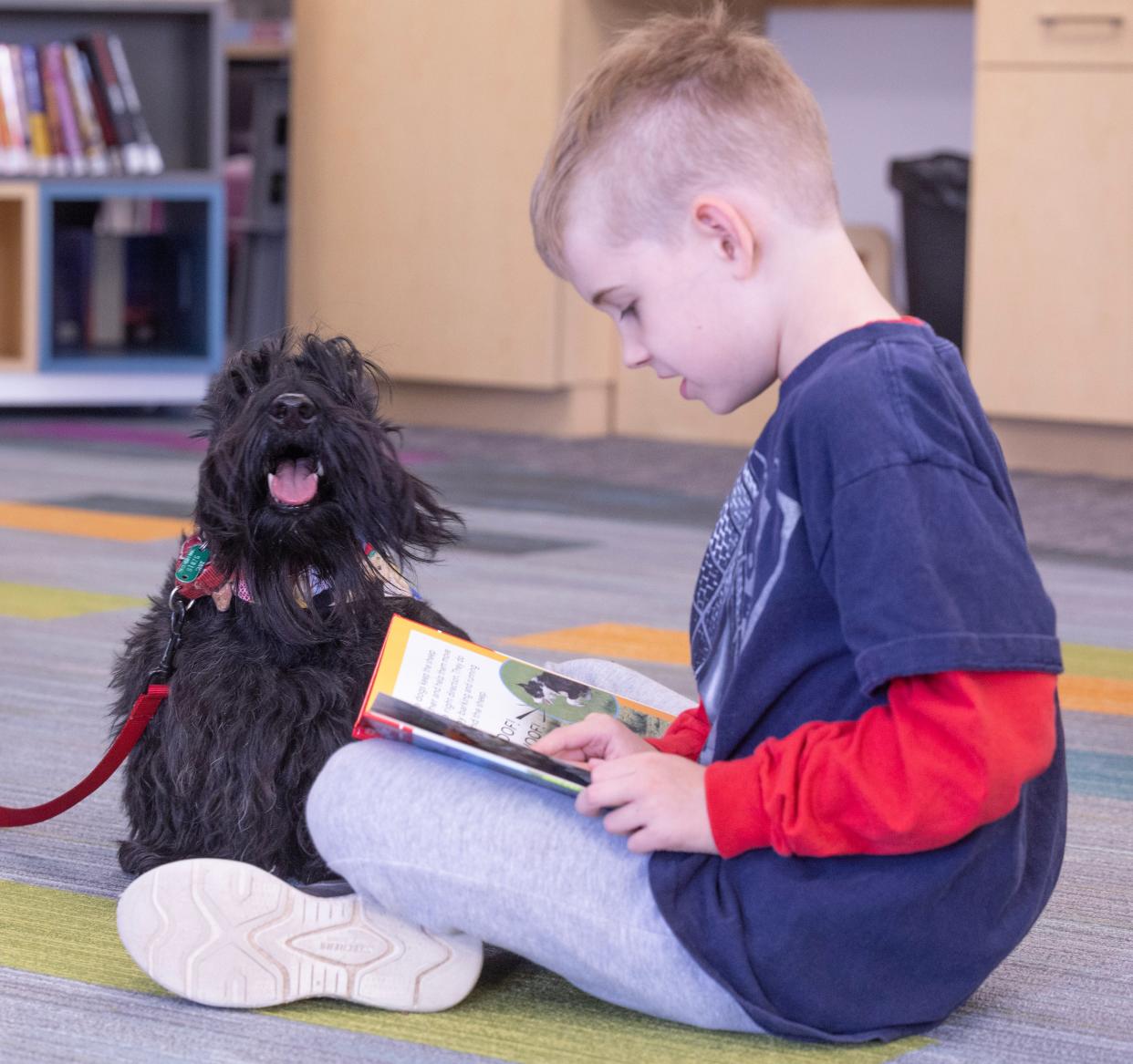 Marshall Wheeler, 7, reads a book to Gibson, a Scottish terrier, during a Pups and Pages event at the Stark Library East Canton branch.