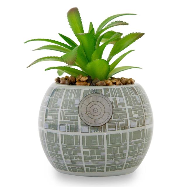 JIBBITZ - SUCCULENT POT