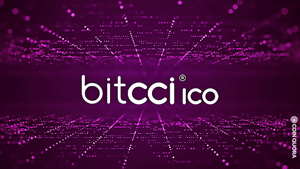 bitcci Group