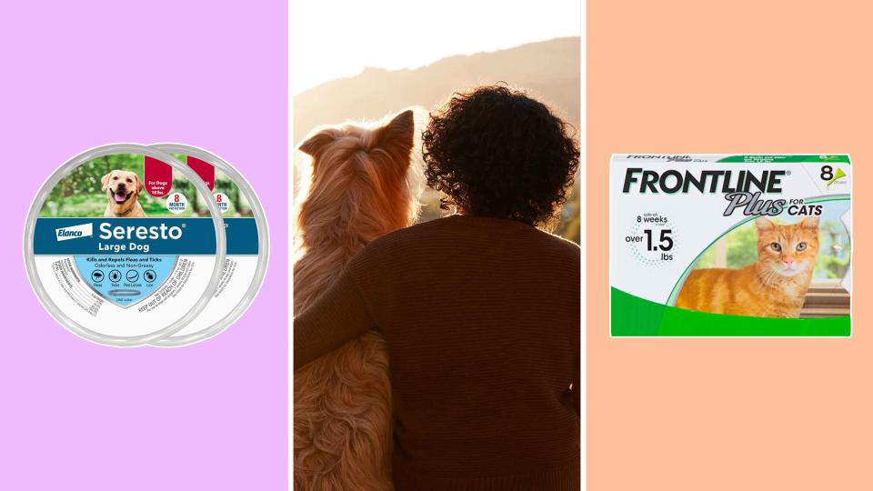 Shop the best Petco deals on flea and tick protection for summer 2023.