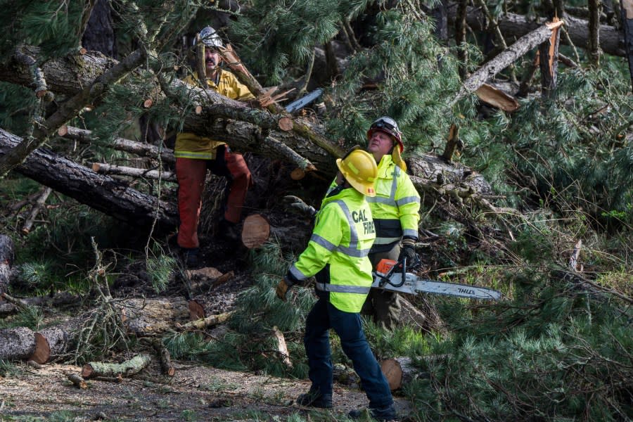 Crews clear downed trees Sunday, Feb. 4, 2024, in Monterey, Calif. California braced Sunday for the worst of a potentially dangerous storm that threatened to hammer parts of the state with hurricane-force winds and cause flooding and mudslides as it moves down the coast over the next few days. (AP Photo/Nic Coury)