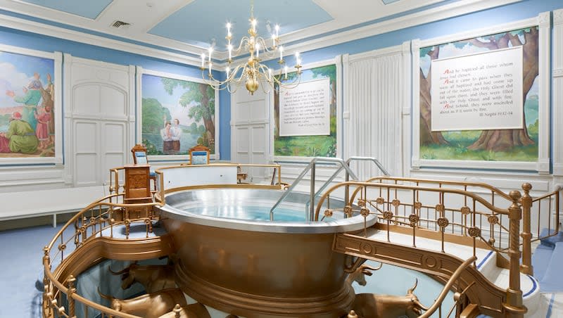 The baptistry in the newly renovated Manti Utah Temple.