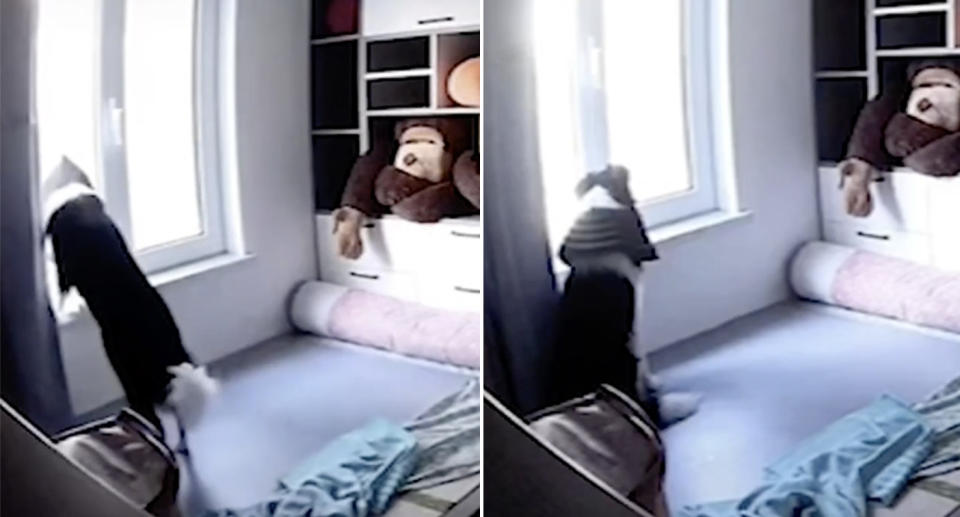 A dog sits in the window of an apartment building, waiting for its owner to come home.