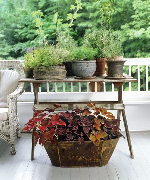 Potted Herb Garden