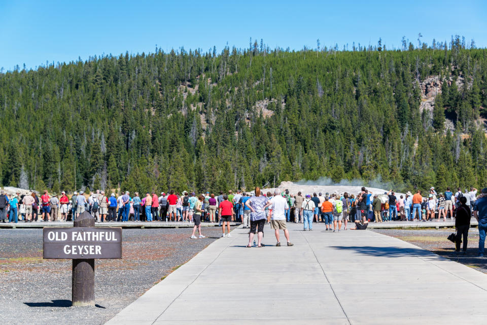 crowd outside looking at a geyser