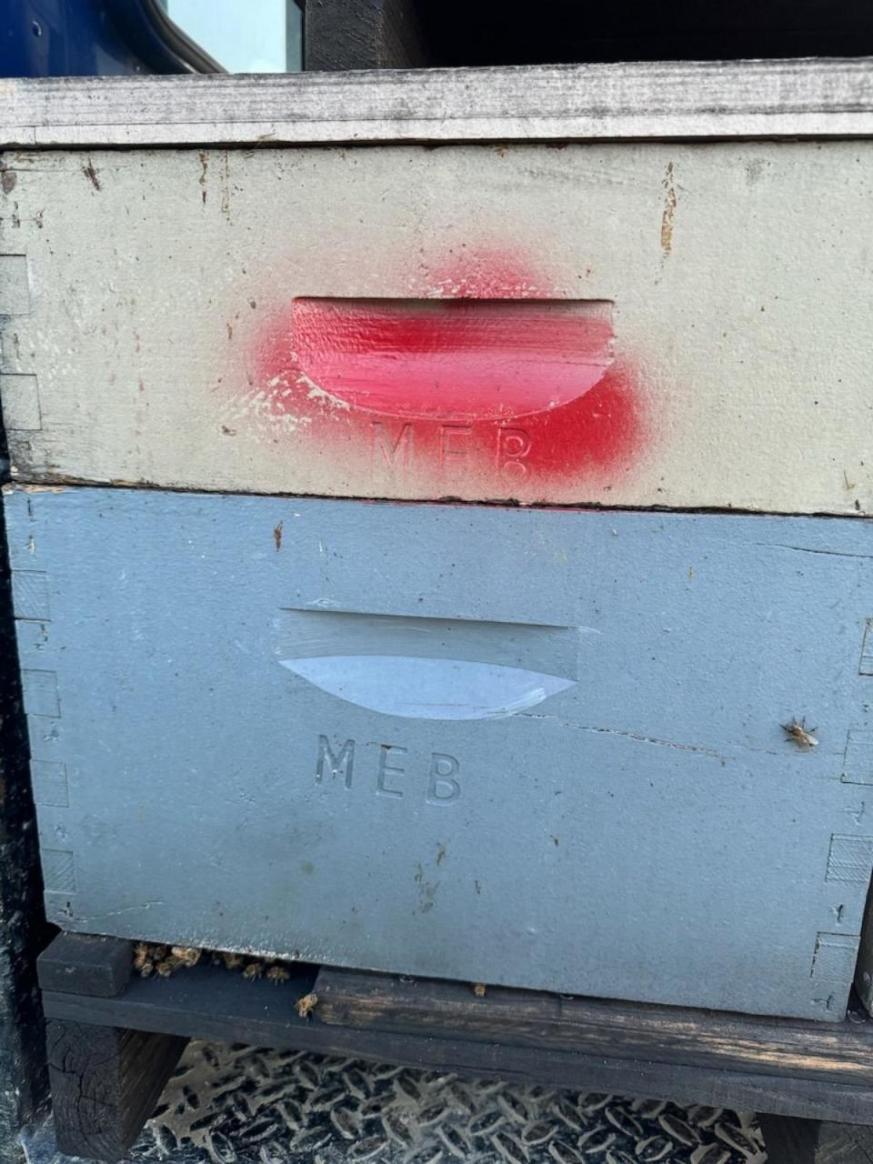 PHOTO: The Fresno County Sheriff's Office said it is looking for 96 stolen bee hives branded with the letters 'MEB.' (Fresno County Sheriff's Office)