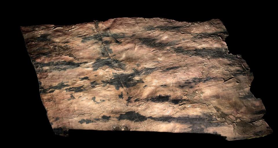 This 16-foot-wide rock slab from Mistaken Point, Newfoundland contains more than 100 fossils from 565 million years ago, and is featured in the new “First Life” gallery.