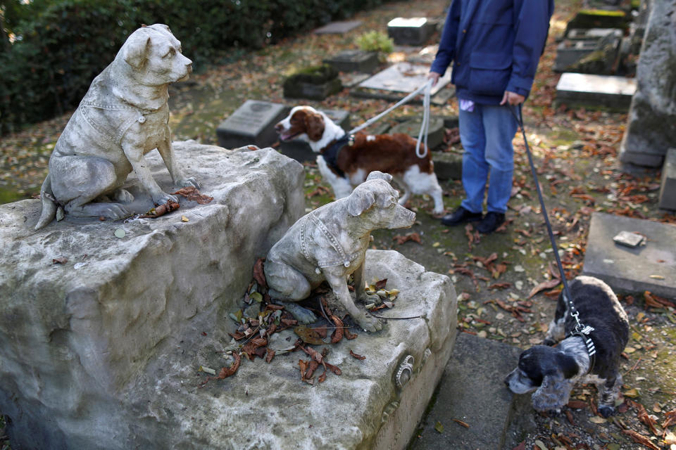 Dogs of a visitor pass by the grave of Marquise and Tony