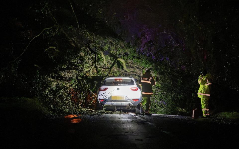 Emergency services at the scene where two cars were crushed by a tree during Storm Henk, near Malmesbury, Wiltshire