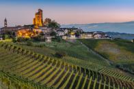 In <a href="https://www.cntraveler.com/gallery/a-guide-to-italys-wine-regions?mbid=synd_yahoo_rss" rel="nofollow noopener" target="_blank" data-ylk="slk:Piemonte, Italy,;elm:context_link;itc:0;sec:content-canvas" class="link ">Piemonte, Italy,</a> an annual festival brings celebrates the region's most famous export: the white truffle. The series of events takes place during peak truffle season in the fall, usually stretching over several weeks in October and November, during which truffle hunters peddle their finds, and market stalls fill the streets with tasty bites (truffled, and otherwise). Sebastian Lapostol, a travel expert at Trufflepig, calls this “unmissable for foodies and lovers of gastro-culture in general,” but notes that the best hotels near the event book up every year. He also expects the interest to continue to grow, particularly following the March release of <a href="https://www.youtube.com/watch?v=KFYhrc0AnVw" rel="nofollow noopener" target="_blank" data-ylk="slk:The Truffle Hunters;elm:context_link;itc:0;sec:content-canvas" class="link "><em>The Truffle Hunters</em></a>, a documentary that follows a group of the town's septuagenarian truffle experts.