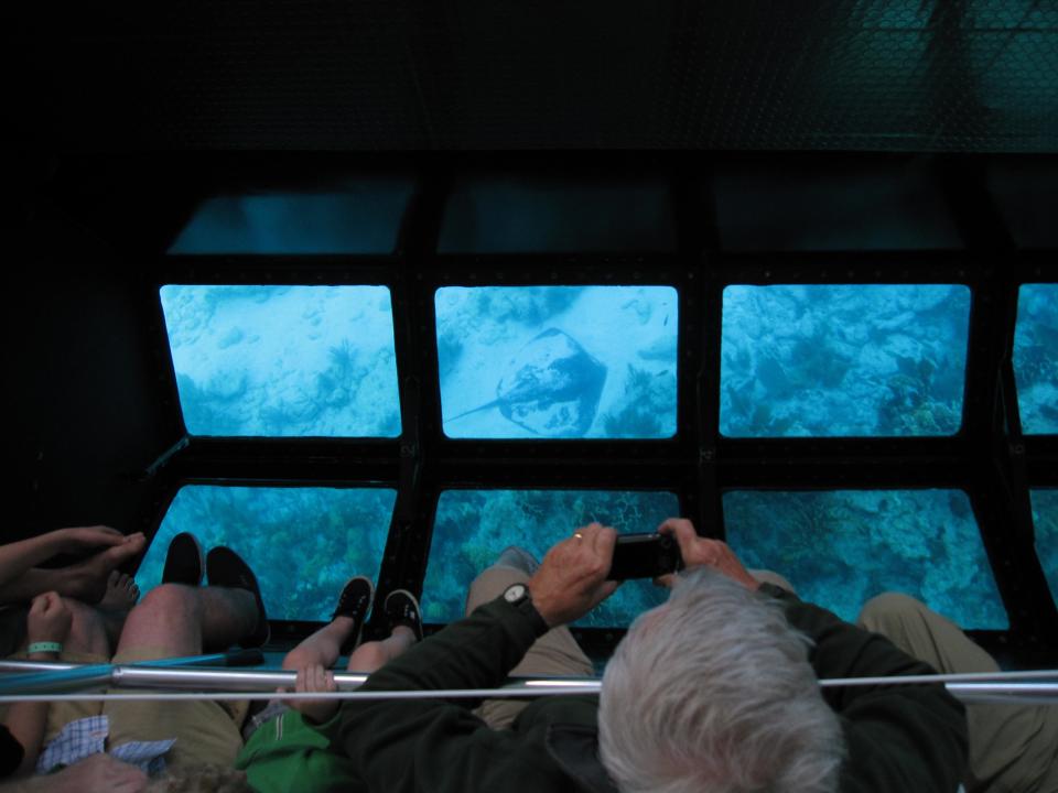 This February 2013 image shows the view through a glass-bottomed boat hovering over the coral reef off the Florida Keys. The boats take tourists from John Pennekamp Coral Reef State Park in Key Largo, Fla., out to the reef, where sharks, stingrays and smaller tropical fish are often visible. (AP Photo/Beth J. Harpaz)