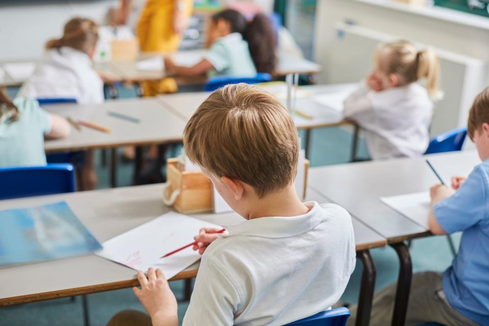 <p>Getty</p> A stock image of a child in school
