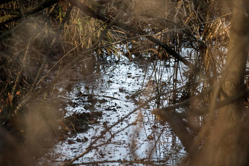 A view of a water filled low spot at Willow Creek Preserve, Friday, December 8, 2023, in Sheboygan, Wis. Glacial Lakes Conservancy is looking into water quality testing and recent grant to build stormwater systems in Willow Creek, an area vulnerable to wastewater runoff from neighboring businesses and roads in the Taylor Drive corridor.