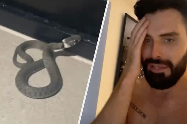 (L-R) A snake and Rylan Clark (Photo: Instagram)