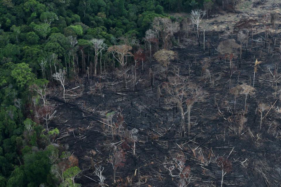 An aerial view of a tract of Amazon jungle after it was cleared by farmers in Itaituba (REUTERS)