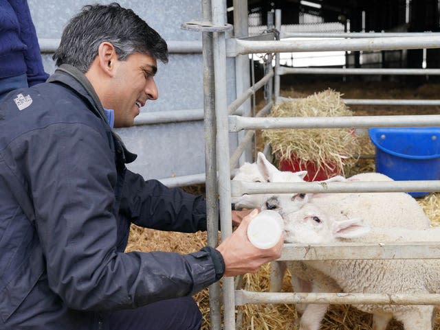 Prime Minister Rishi Sunak bottle feeding lambs during a visit to Rowlinson’s Farm, a dairy, beef, sheep farm in Gawsworth, Macclesfield 