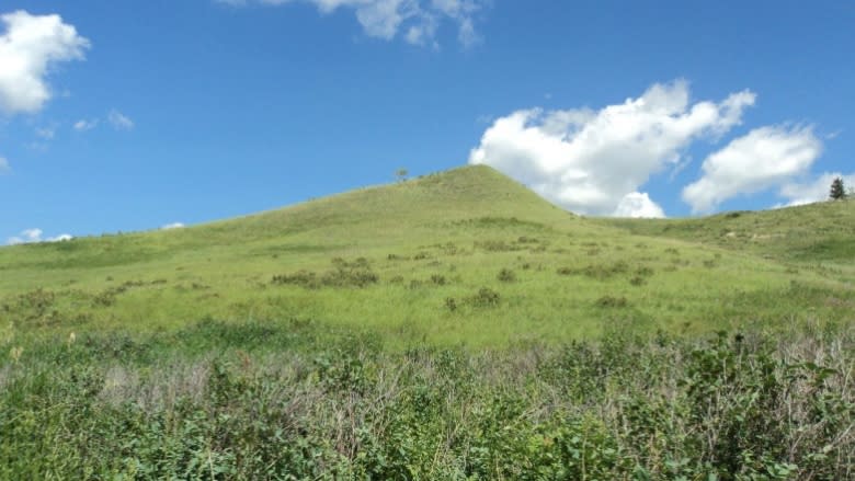 Great Easter weekend hikes and bikes in and around Calgary