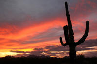 <p>In this Dec. 6, 2009 file photo, a cactus is seen against a backdrop of colorful clouds in Ironwood Forest National Monument in Marana, Ariz. (Photo: Greg Bryan/Arizona Daily Star via AP) </p>