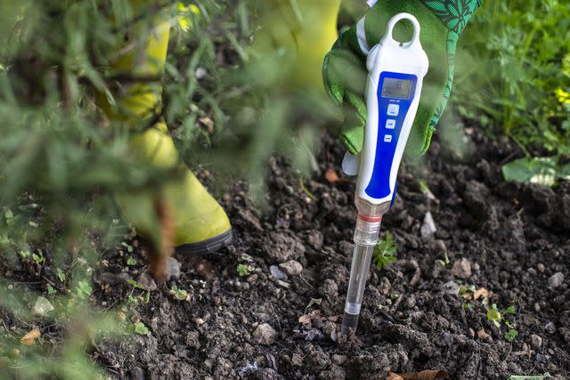 deyangeorgiev / Getty Images Measuring soil pH