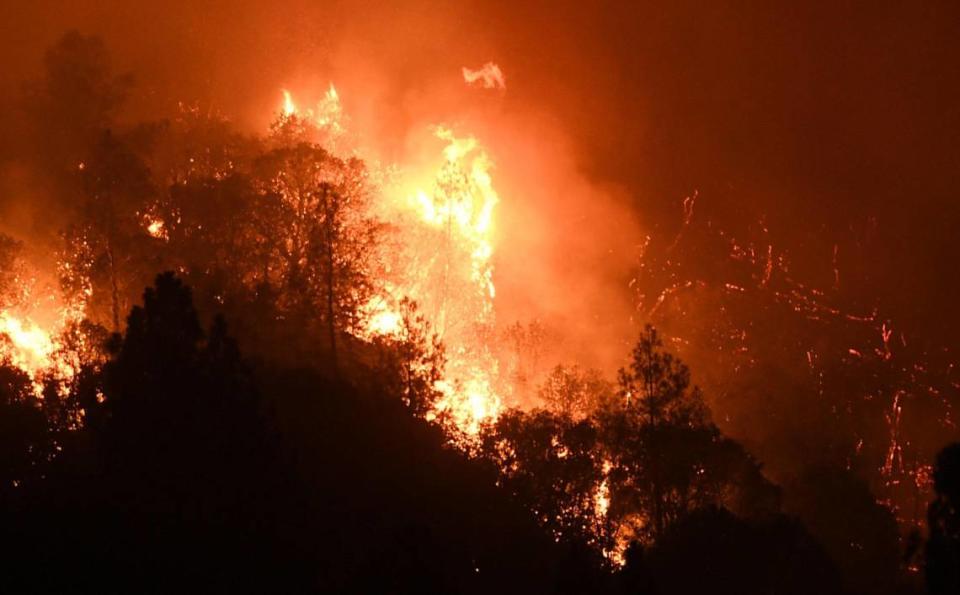Tree canopies erupt into flame on a mountain side as the Oak Fire burns east of Midpines Friday, July 22, 2022 near Mariposa.