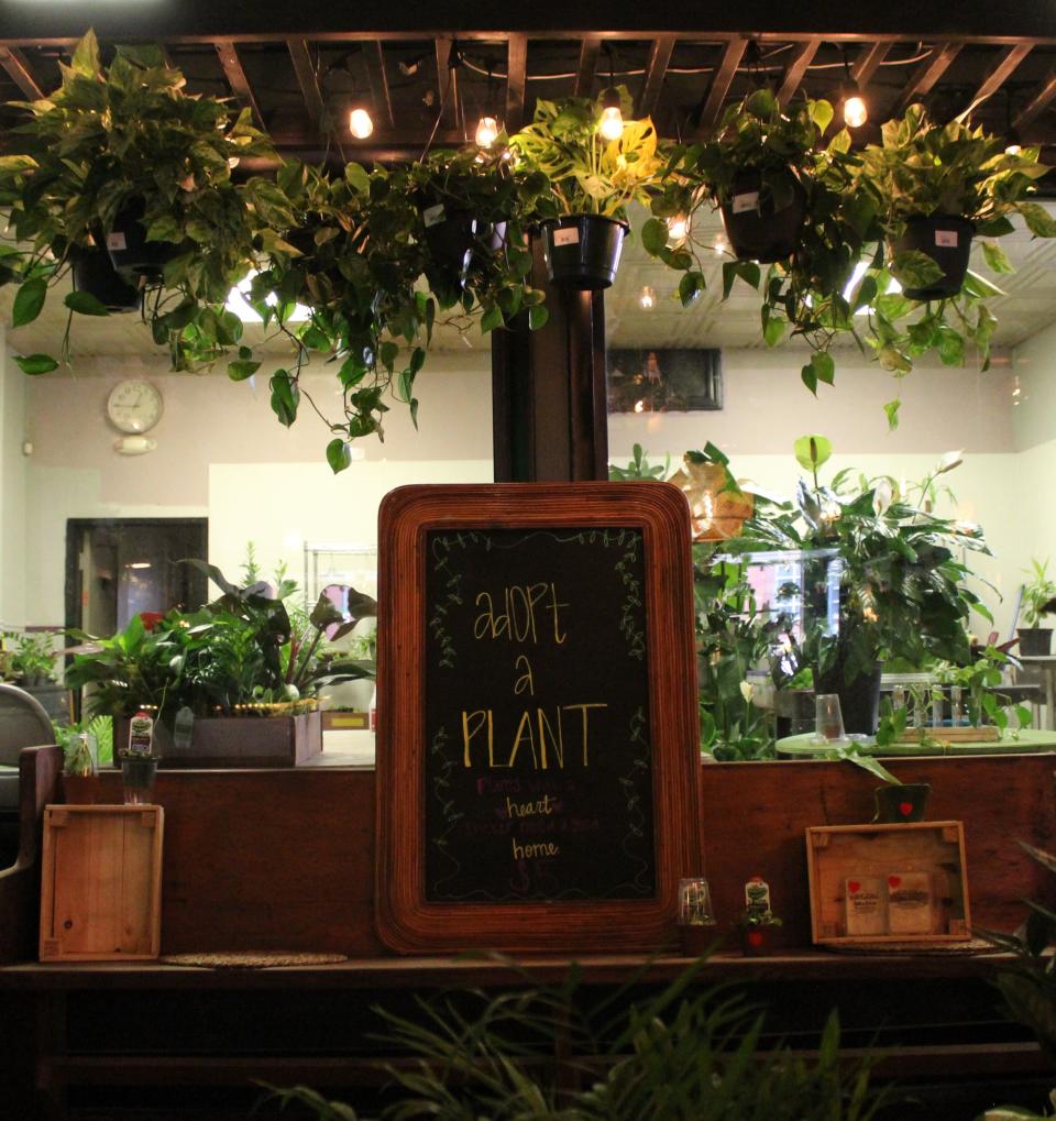 At The Conservatory, the shop’s plant lab can be used as a reception area for cake  and other food items.