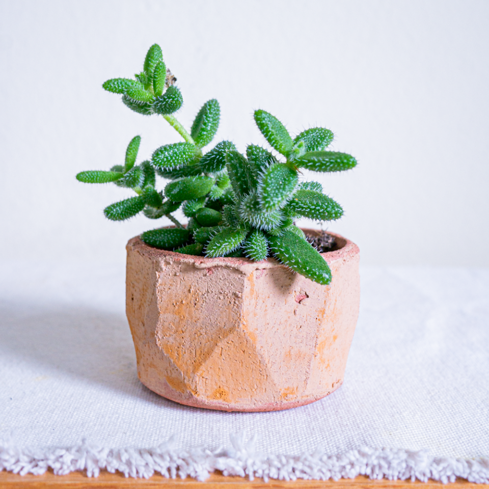 7) Faceted Bisque Planter