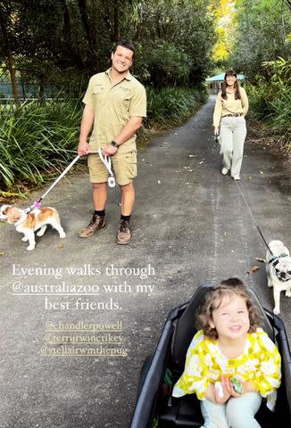 <p>Bindi Irwin/Instagram</p> The happy family take an evening walk