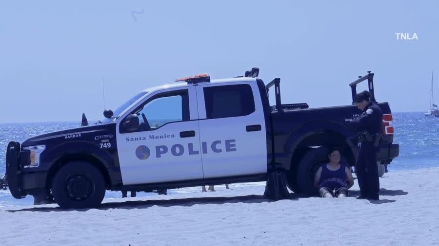 One person was stabbed and another injured after a large brawl broke out on the beach near the Santa Monica Pier on June 29, 2024. (TNLA)