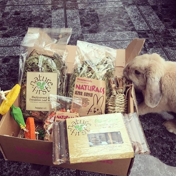 best dog box subscription pets Cratejoy