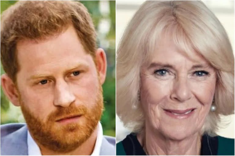 El príncipe Harry apuntó contra Camilla Parker Bowles (Foto: Harpo / Instagram @clarencehouse)