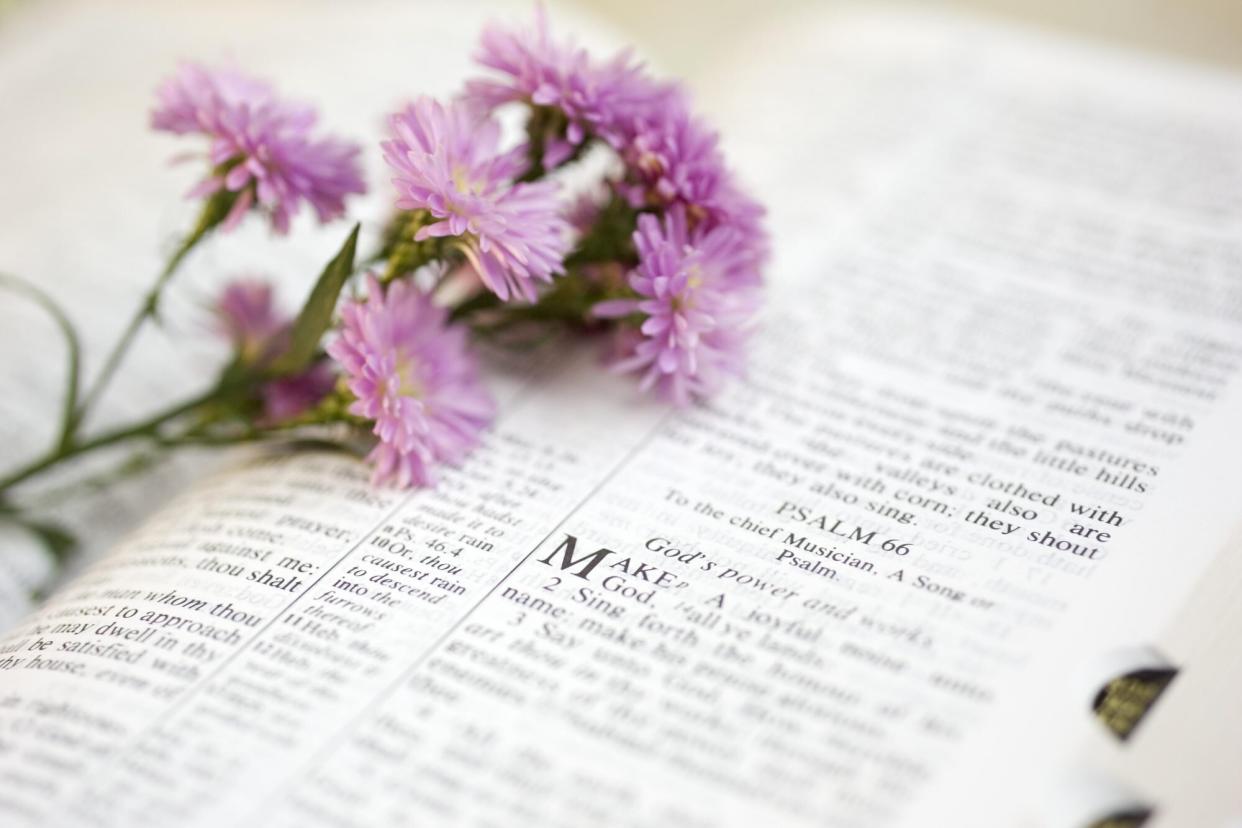 Flowers on a Bible