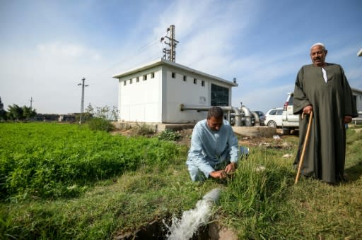 By 2050, the Nile Delta region could lose up to 15 percent of its key agricultural land due to salinization, according to a 2016 study