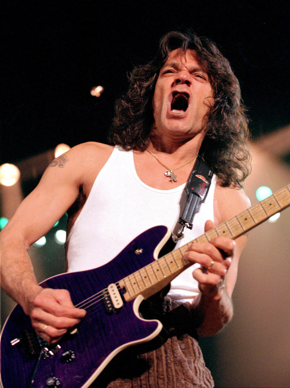 Van Halen III Live in Chicago (James Crump / WireImage)