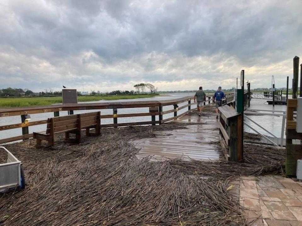 Marsh reeds and storm debris covered much of the MarshWalk at Murrells Inlet early Thursday, Aug. 31 following Tropical Storm Idalia.