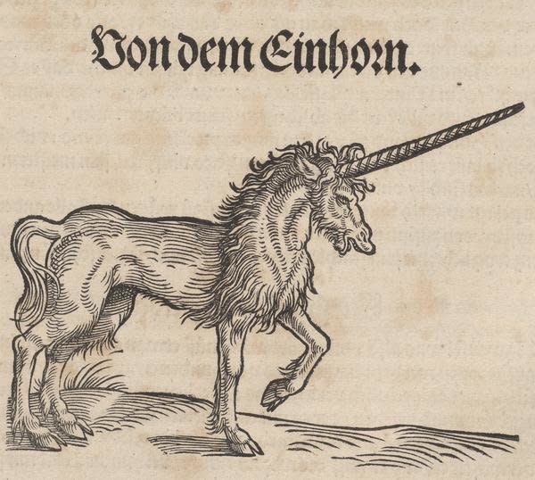 Swiss naturalist Conrad Gessner&nbsp;composed a massive encyclopedia, the&nbsp;<i>Historia Animalium</i>, which cataloged real creatures like birds and cats alongside fantasy beasts like the unicorn. Like Pomet, he touts the healing properties of unicorn horn.