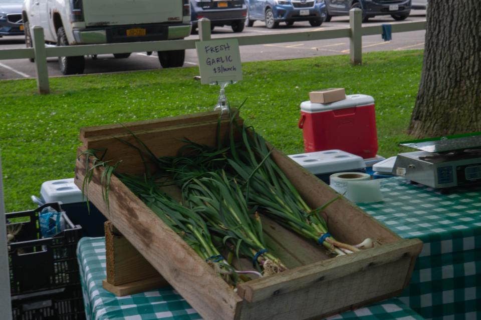 Binghamton Farmers Market is held on Sundays at Recreation Park.