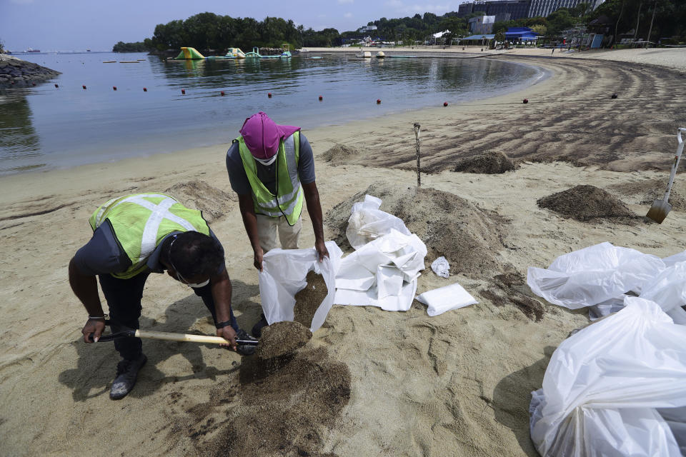 Workers clean oil spill along Sentosa's Palawan Beach area in Singapore, Sunday, June 16, 2024. An oil spill caused by a dredger boat hitting a stationary cargo tanker has blackened part of Singapore’s southern coastline, including the popular resort island of Sentosa, and sparked concerns it may threaten marine wildlife. (AP Photo/Suhaimi Abdullah)