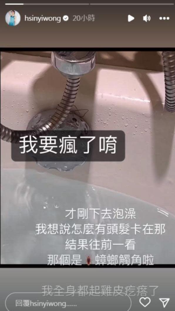 翁馨儀要泡澡時看到蟑螂。（圖／翻攝自＠hsinyiwong IG）