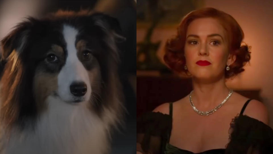 Maggie in Strays; Isla Fisher in Blithe Spirit